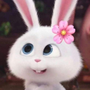 sunnybunnybabygirl avatar