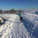 sunnydispositions avatar