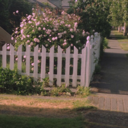 sunnyflowersandthat avatar