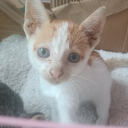 sunnyflowersposts avatar