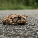 sunnyhouseplant avatar