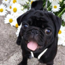 sunnyjpg avatar