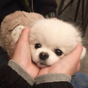 sunnyshinings avatar