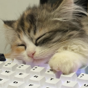 sunnysideofthehill avatar