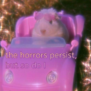 sunnysideupcats avatar