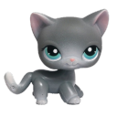 sunnyspotlessminds avatar