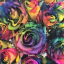 sunnysunshinesmile avatar