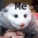 sunnysunsunsunnyy avatar