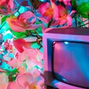 sunnytailinc21 avatar