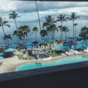 sunnytropicalsky avatar