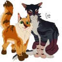 sunpelt-of-riverclan-2 avatar