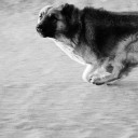 sunraysiaprestige avatar