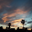 sunrisearchive avatar