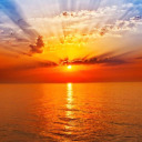 sunriseawakening avatar