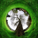 sunriseovertheswamp avatar