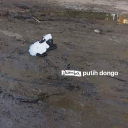 sunrisingatsky avatar