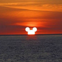 sunset--hunters avatar