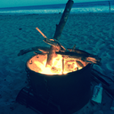 sunset-in-a-cup avatar