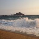 sunset-paradise-of-cats-blog avatar