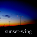 sunset-wing avatar