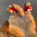 sunset03sworld avatar