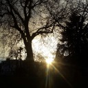 sunset0moonlight avatar