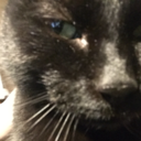 sunsetandsurf avatar