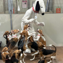 sunsetdreamsmog avatar