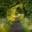 sunsetkicks-blog avatar