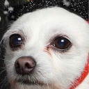 sunsetmurdersxo avatar