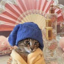 sunsetneedssleep avatar