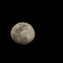 sunsetonadock avatar