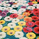 sunsets-citylights-blog avatar