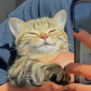 sunsetsandcatspoet avatar