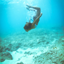 sunsetsandoceanspray-blog avatar