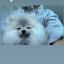 sunsetshimmer777 avatar