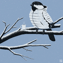 sunsetuozu-blog avatar