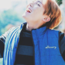 sunshine-and-hobi avatar