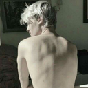 sunshine-and-polaris avatar