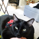 sunshine-angel08 avatar