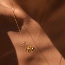 sunshine-avenue31 avatar