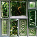 sunshine-dies avatar