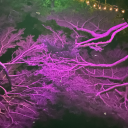 sunshine-in-ma-eyes avatar