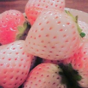 sunshine-in-the-grave avatar