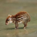 sunshine-queer avatar