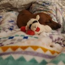 sunshine-spice avatar