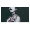 sunshine-y-city-lights avatar