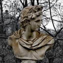 sunshineandcitrus avatar