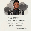 sunshineandquietdreams avatar