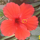 sunshineandsmores-blog avatar